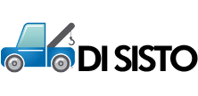 Di Sisto S.r.L logo